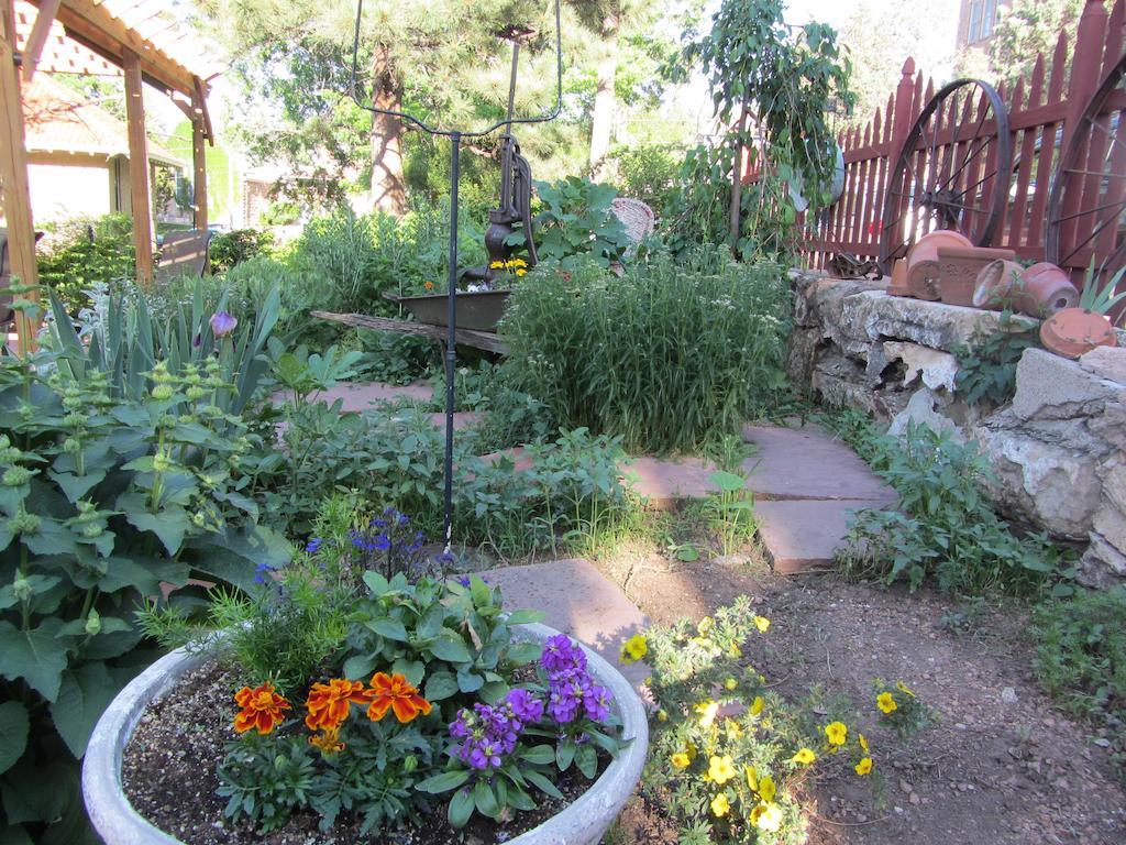 Avenue Hotel Bed And Breakfast Manitou Springs Esterno foto